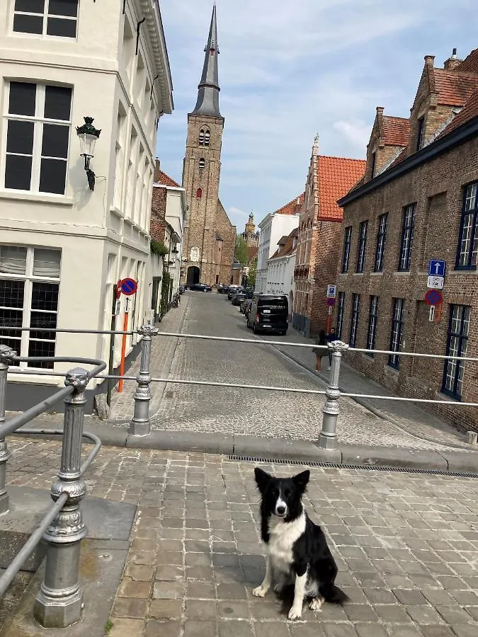 Apl8 St-Anna B&B Bruges 3*,